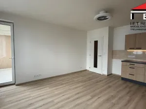 Pronájem bytu 2+kk, Brno - Horní Heršpice, Jižní, 56 m2