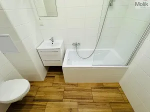 Pronájem bytu 2+1, Most, Maxe Švabinského, 53 m2