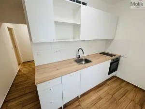 Pronájem bytu 2+1, Most, Maxe Švabinského, 53 m2