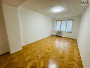 Pronájem bytu 2+1, Most, Maxe Švabinského, 53 m2