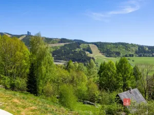 Prodej pozemku pro bydlení, Dolní Morava - Horní Morava, 1045 m2