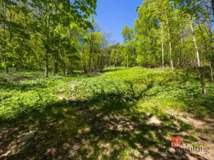 Prodej pozemku pro bydlení, Dolní Morava - Horní Morava, 1045 m2