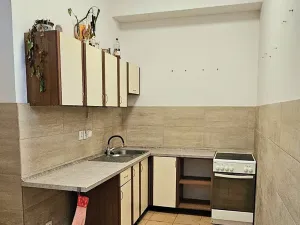 Pronájem výrobních prostor, Karviná, U Barbory, 1000 m2