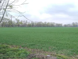 Prodej zahrady, Opava - Město, 250 m2