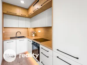 Prodej bytu 2+kk, Frýdek-Místek - Místek, Ostravská, 28 m2