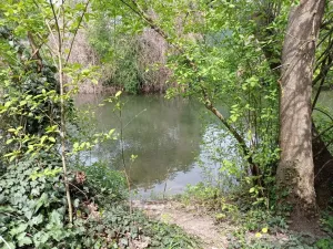 Prodej chaty, Lednice - Nejdek, 63 m2