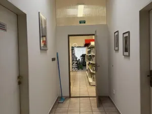 Pronájem obchodního prostoru, Chomutov, Raisova, 189 m2
