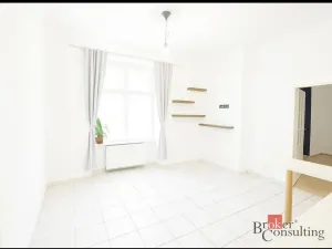Pronájem bytu 2+1, Praha - Bubeneč, Národní obrany, 51 m2