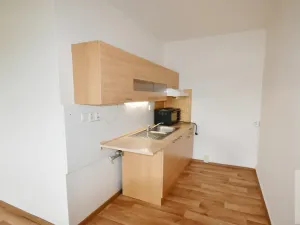 Pronájem bytu 1+kk, Ústí nad Labem - Krásné Březno, Žežická, 32 m2