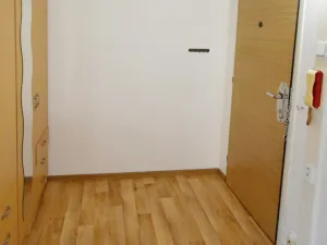 Pronájem bytu 1+kk, Ústí nad Labem - Krásné Březno, Žežická, 32 m2