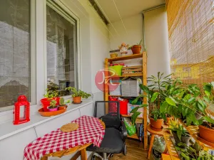 Prodej bytu 2+1, Ostrava, Čkalovova, 52 m2