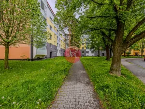 Prodej bytu 2+1, Ostrava, Čkalovova, 52 m2