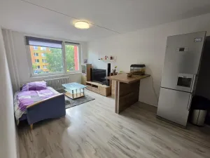 Prodej bytu 2+kk, Most, Františka Malíka, 40 m2