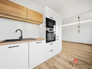 Prodej bytu 2+kk, Hlinsko, Rubešova, 51 m2