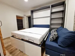Pronájem bytu 1+kk, Brno, Palackého třída, 22 m2