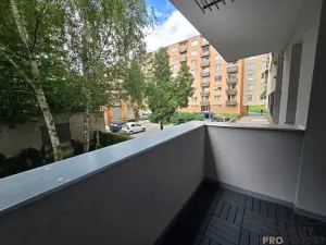 Pronájem bytu 1+kk, Brno, Palackého třída, 22 m2