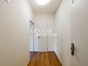 Pronájem bytu 1+kk, Praha - Vinohrady, Lucemburská, 30 m2