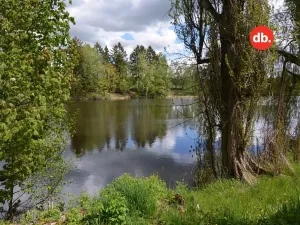 Pronájem zahrady, Toužim, Plzeňská, 208 m2