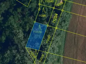 Prodej lesa, Silůvky, 114 m2