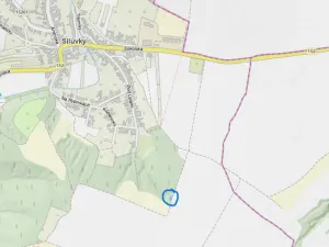 Prodej lesa, Silůvky, 114 m2