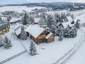 Prodej rodinného domu, Loučná pod Klínovcem, 195 m2