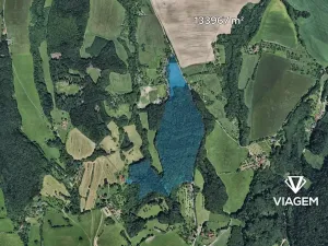 Prodej podílu lesa, Lípa, 2029 m2