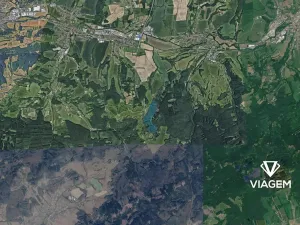 Prodej podílu lesa, Lípa, 4141 m2