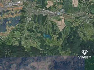 Prodej podílu lesa, Lípa, 2748 m2