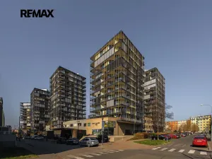 Pronájem bytu 5+kk, Praha - Žižkov, Pitterova, 254 m2