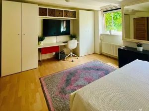 Pronájem bytu 2+1, Brno, Zeyerova, 76 m2