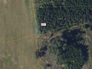 Dražba lesa, Česká Bělá, 90 m2