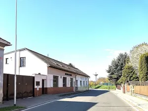 Prodej obchodního prostoru, Zápy, 260 m2