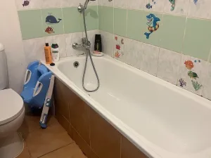 Prodej rodinného domu, Chabařovice, V Aleji, 280 m2