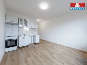 Prodej bytu 1+kk, Horní Slavkov, U Lesoparku, 19 m2