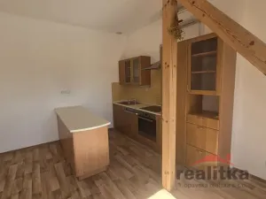 Pronájem bytu 3+kk, Opava - Předměstí, Palackého, 70 m2