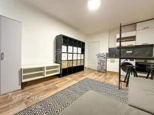 Pronájem bytu 1+kk, Přerov - Přerov I-Město, Budovatelů, 26 m2