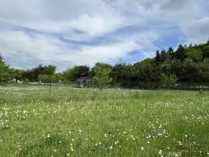 Prodej pozemku pro bydlení, Sentice, 814 m2