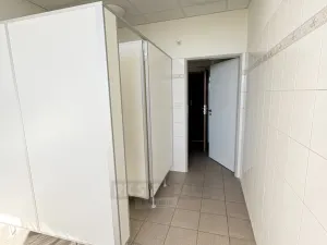 Pronájem kanceláře, České Budějovice - České Budějovice 3, K. Světlé, 70 m2