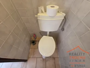 Prodej obchodního prostoru, Sadová, 339 m2