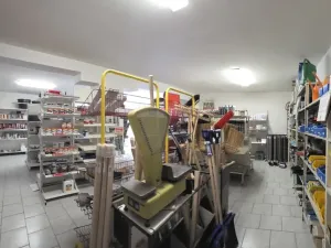 Prodej obchodního prostoru, Sadová, 724 m2