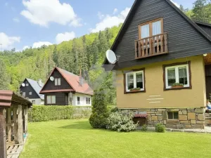 Prodej chaty, Vítkov - Podhradí, 82 m2