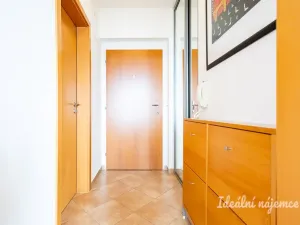 Pronájem bytu 1+kk, Praha - Záběhlice, Ve slatinách, 30 m2