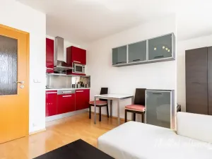 Pronájem bytu 1+kk, Praha - Záběhlice, Ve slatinách, 30 m2
