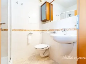 Pronájem bytu 1+kk, Praha - Záběhlice, Ve slatinách, 30 m2