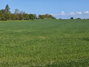 Prodej pozemku pro bydlení, Sibřina - Stupice, 1278 m2