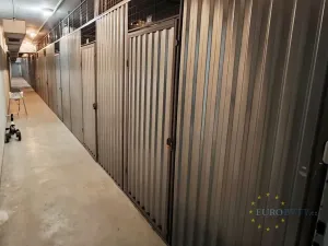 Prodej bytu 2+1, Nymburk, V Kolonii, 64 m2