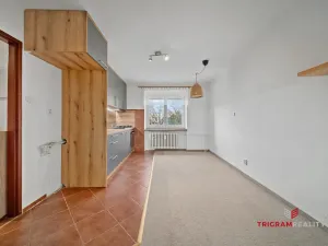 Prodej bytu 2+1, Pardubice - Zelené Předměstí, Wolkerova, 49 m2