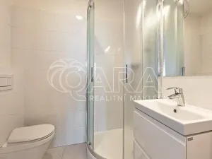 Pronájem bytu 1+kk, Praha - Nusle, V Horkách, 17 m2