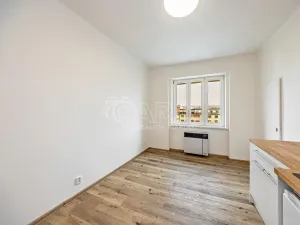 Pronájem bytu 1+kk, Praha - Nusle, V Horkách, 17 m2