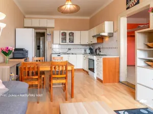 Prodej bytu 2+kk, Plzeň - Jižní Předměstí, Edvarda Beneše, 50 m2